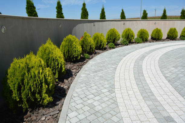 Best Cobblestone Driveway Pavers  in Sour Lake, TX